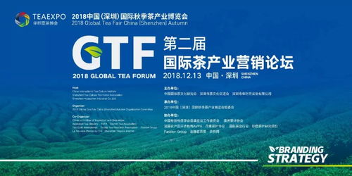 論品牌與戰(zhàn)略,第二屆國際茶產(chǎn)業(yè)營銷論壇圓滿舉辦